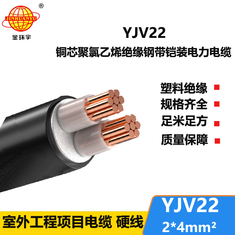 金環(huán)宇電線電纜 銅芯 鎧裝電力電纜YJV22 2X4平方 工程電纜